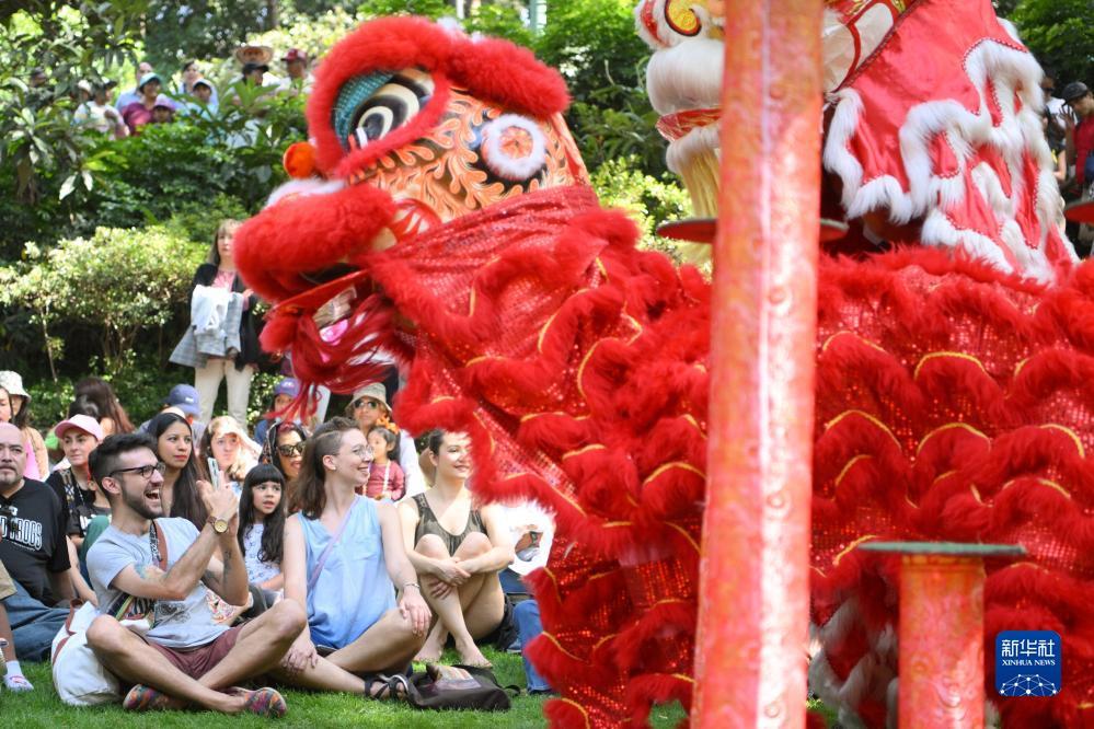 金沙网络平台网站